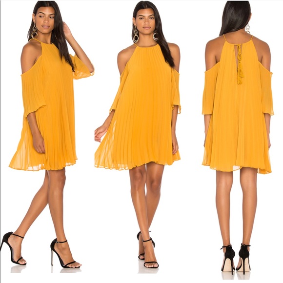 BB Dakota Dresses & Skirts - 🌴BB Dakota Gretel Pleated Dress